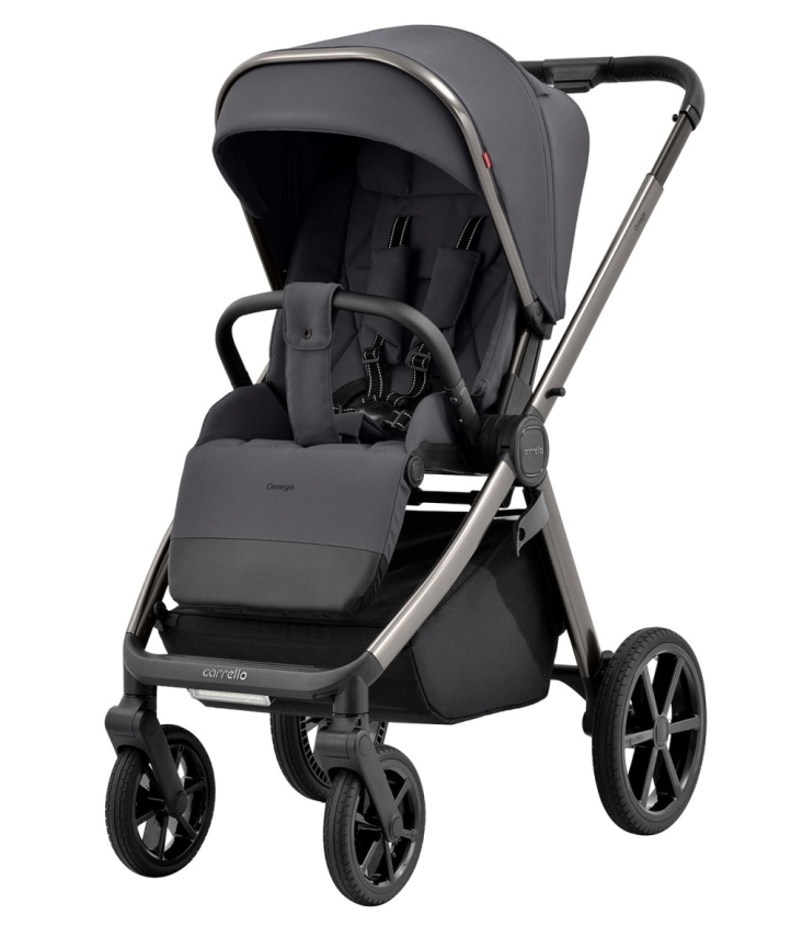 Коляска 2 в 1 Carrello Omega CRL-6530 фото 30
