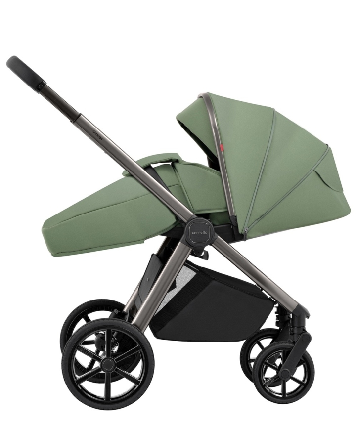 Коляска 2 в 1 Carrello Omega CRL-6530 фото 13