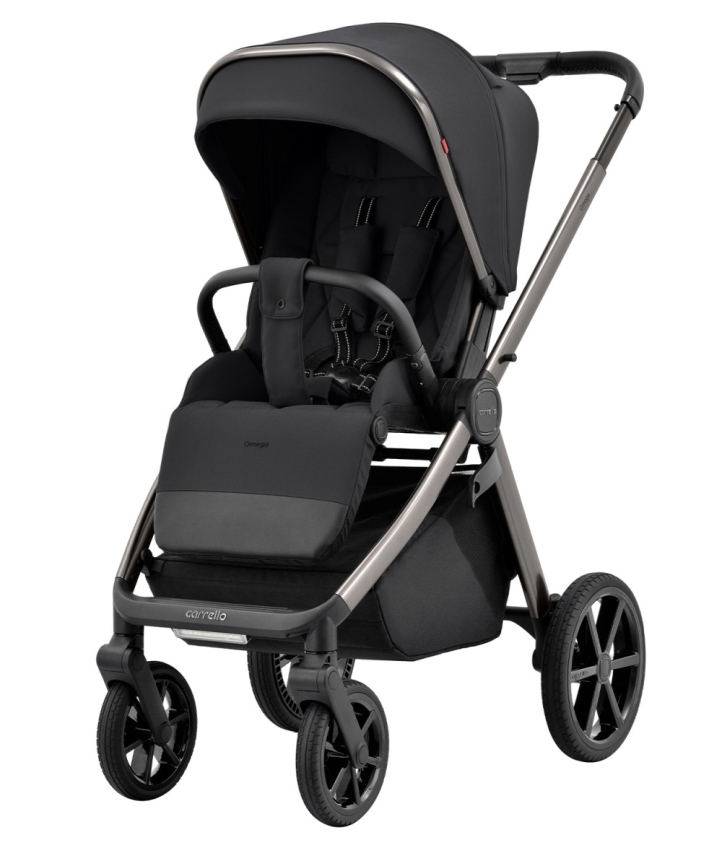 Коляска 2 в 1 Carrello Omega CRL-6530 фото 3