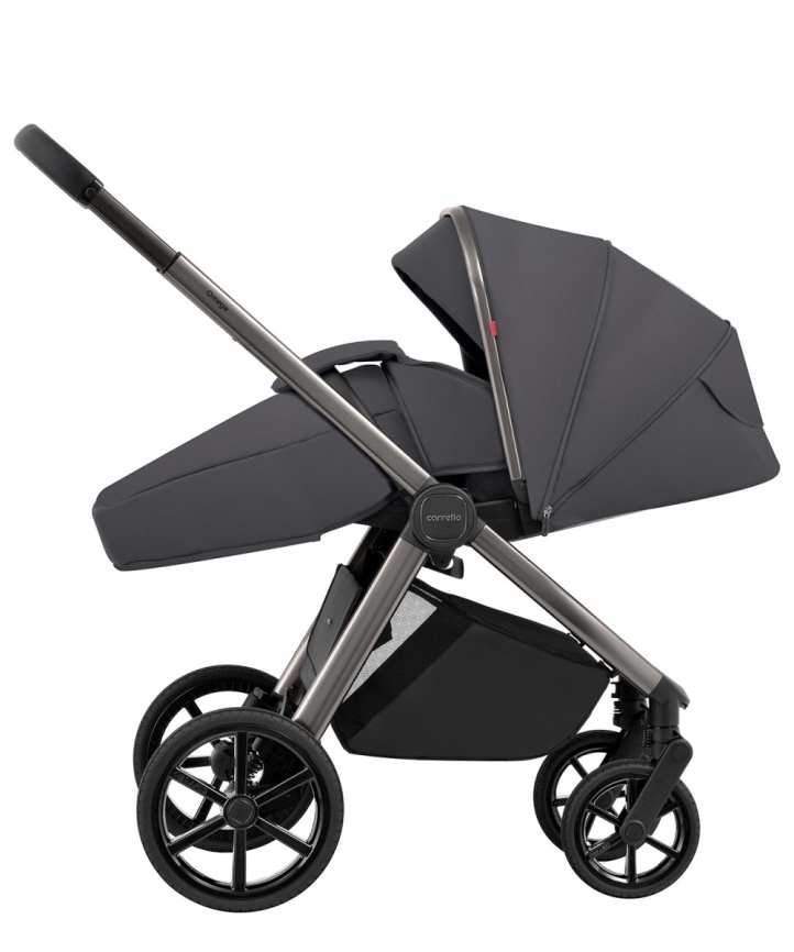 Коляска 2 в 1 Carrello Omega CRL-6530 фото 31
